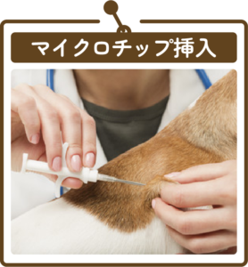 むつみ動物病院のマイクロチップ挿入