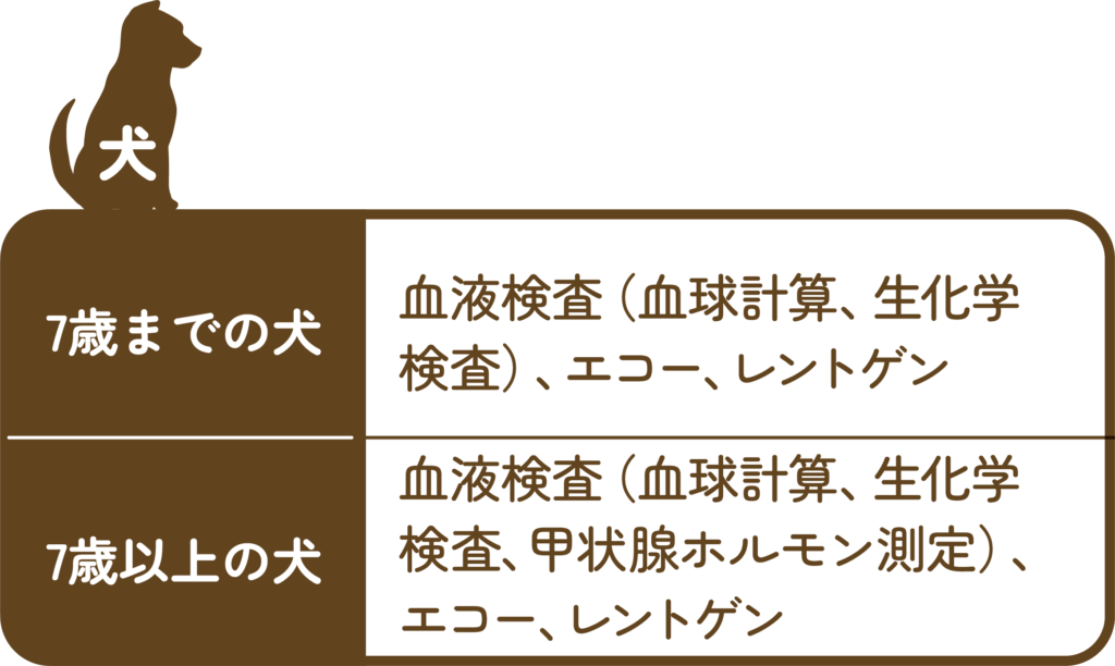 むつみ動物病院の犬の健康診断