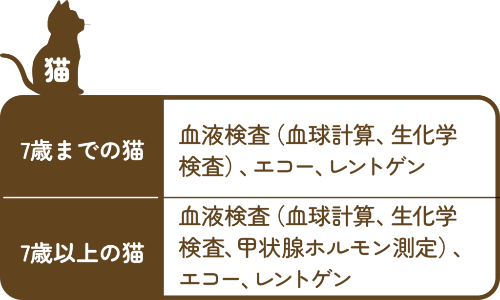 むつみ動物病院の猫の健康診断