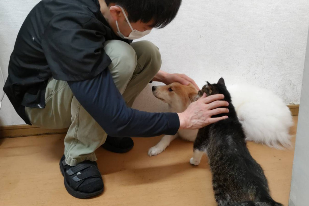 むつみ動物病院の犬の診察の様子